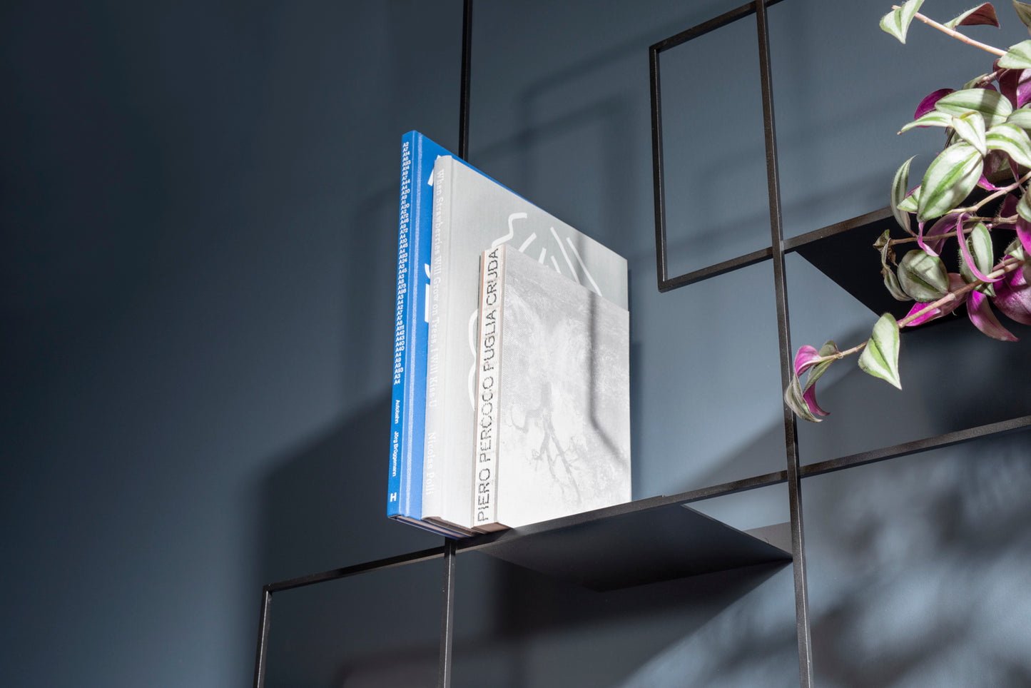 La Superleggera - libreria small