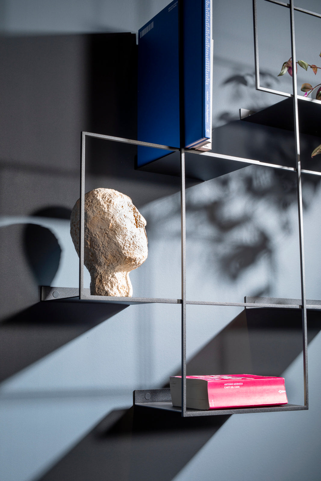 La Superleggera - libreria big